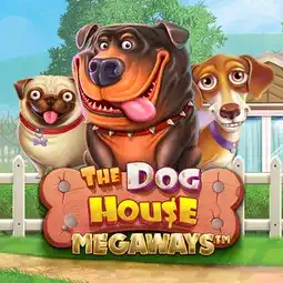 The Dog House Megaways gra w Shuffle Casino dla graczy z Polski The Dog House Megaways gra w Shuffle Casino dla graczy z Polski