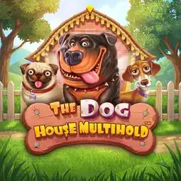 The Dog House Multihold gra w Shuffle Casino dla graczy z Polski The Dog House Multihold gra w Shuffle Casino dla graczy z Polski